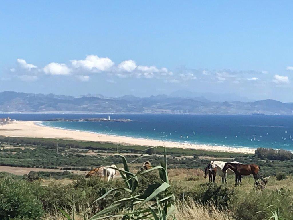 Rustic Cabin Tarifa 4 Guests 10 Minutes To Beach Esterno foto